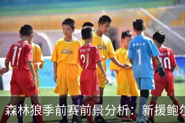 森林狼季前赛前景分析：新援鲍尔与库明加的期待